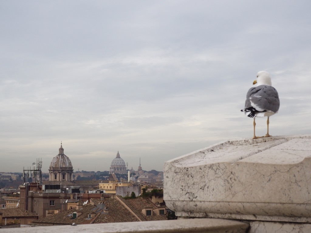 Sometimes you just got to take in that view :)