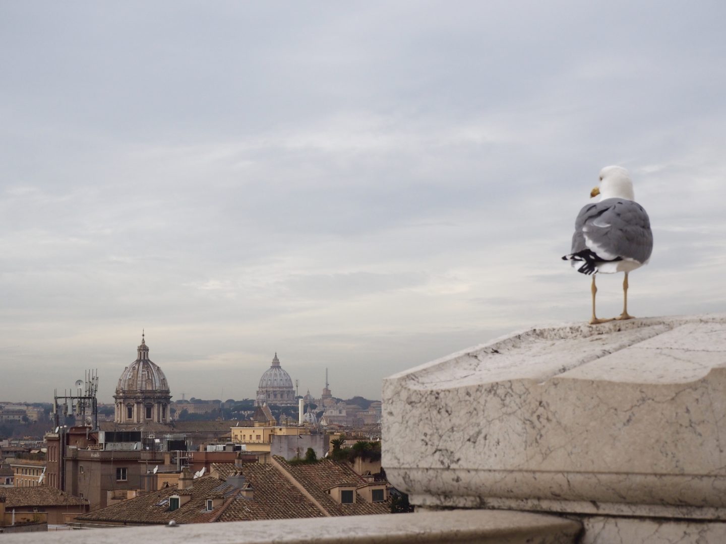 Rome Photo Diary